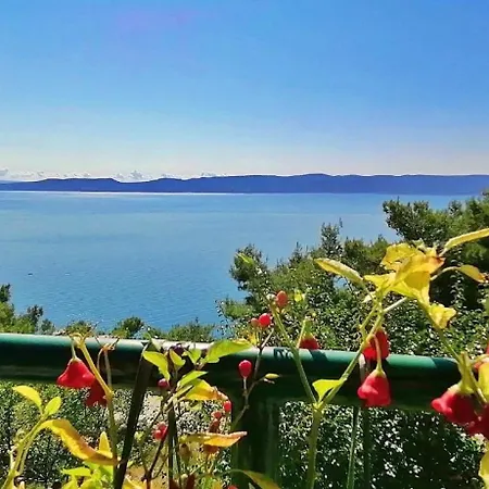 Ferienwohnung Fur 4 Personen Ca 37 Qm In Pisak, Dalmatien Mitteldalmatien Apartmán