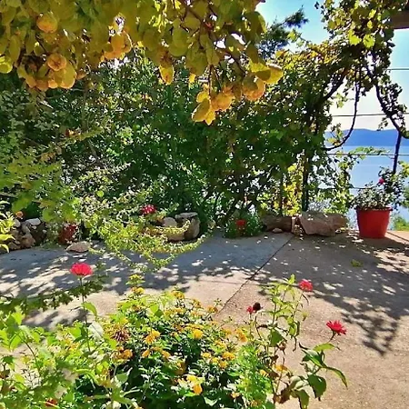 Apartmán Ferienwohnung Fur 4 Personen Ca 37 Qm In Pisak, Dalmatien Mitteldalmatien Pisak